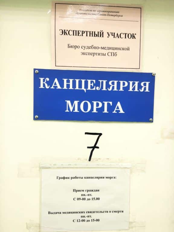 канцелярия морга Шафировский 12